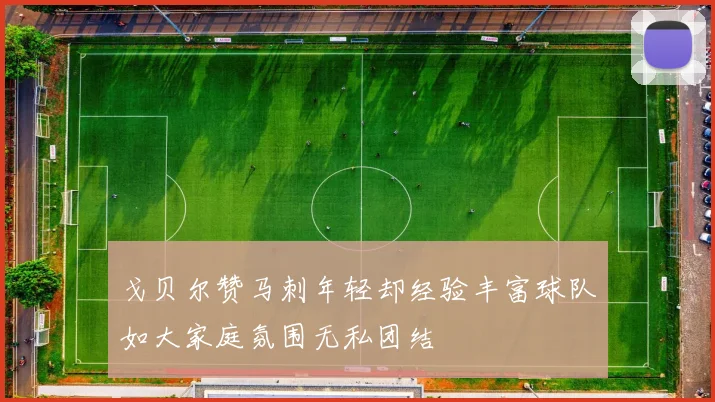 戈贝尔赞马刺年轻却经验丰富球队如大家庭氛围无私团结